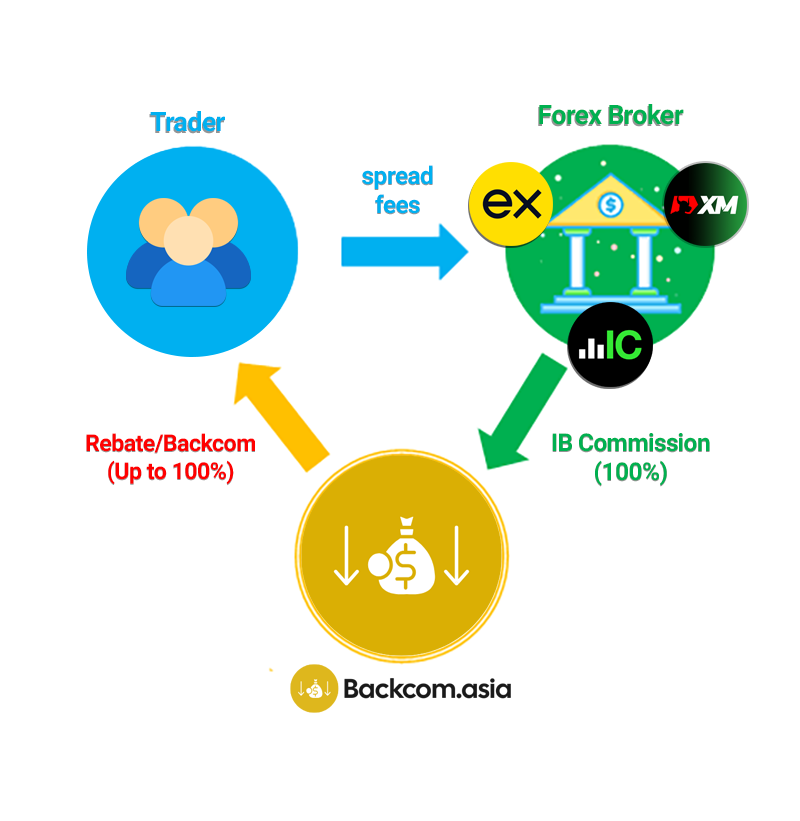 cach-backcom-rebate-hoat-dong